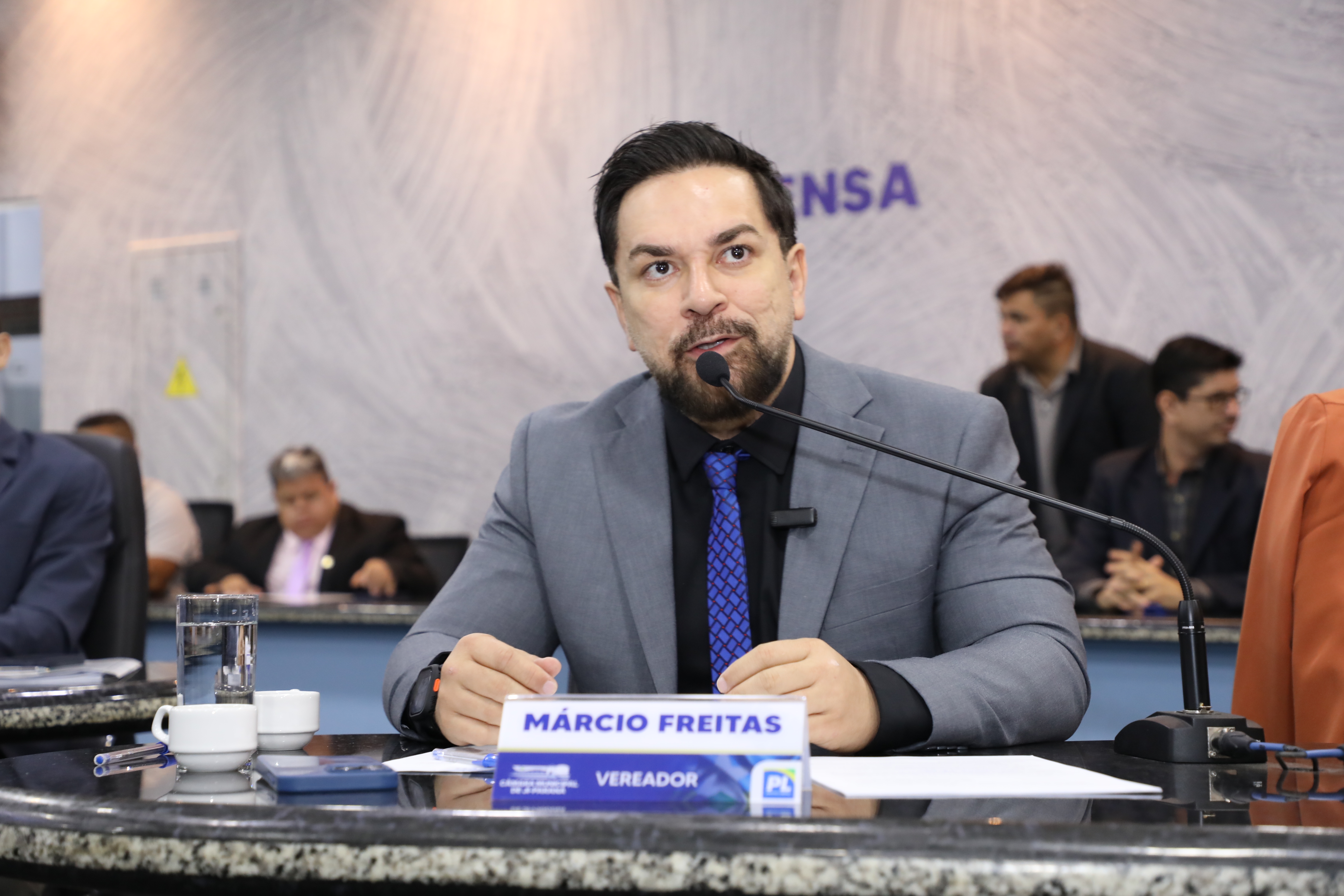 Projetos de Lei e comissão permanente são aprovados em Sessão Ordinária